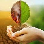 Certificações ambientais agregam valor ao metro quadrado ao garantir desempenho e sustentabilidade, avalia Alex Nabuco dos Santos.