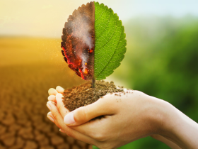 Certificações ambientais agregam valor ao metro quadrado ao garantir desempenho e sustentabilidade, avalia Alex Nabuco dos Santos.