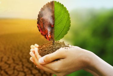 Certificações ambientais agregam valor ao metro quadrado ao garantir desempenho e sustentabilidade, avalia Alex Nabuco dos Santos.