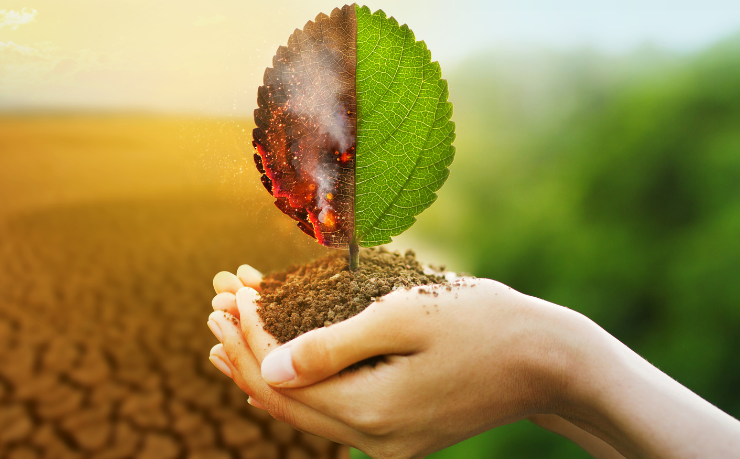 Certificações ambientais agregam valor ao metro quadrado ao garantir desempenho e sustentabilidade, avalia Alex Nabuco dos Santos.