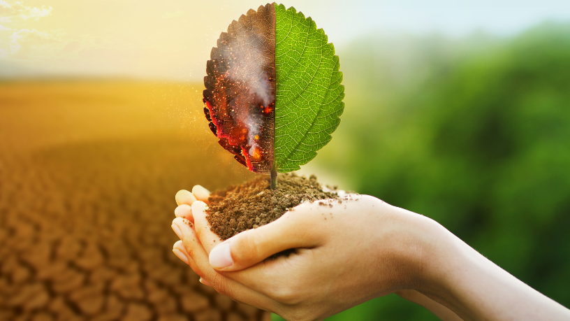 Certificações ambientais agregam valor ao metro quadrado ao garantir desempenho e sustentabilidade, avalia Alex Nabuco dos Santos.