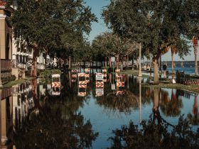 Rua alagada com placas de interdição refletidas na água ao lado de uma calçada arborizada.