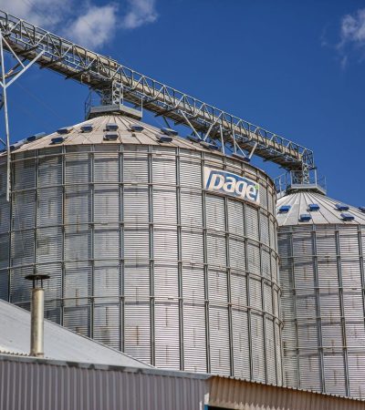 Silos industriais de armazenamento de grãos em uma área agrícola sob céu azul.
