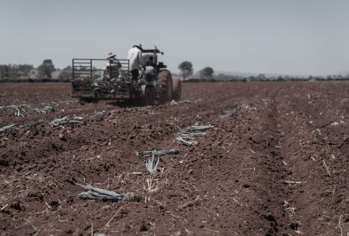 Agricultores trabalham com um trator no preparo de um campo para a próxima temporada de plantio.