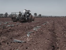 Agricultores trabalham com um trator no preparo de um campo para a próxima temporada de plantio.