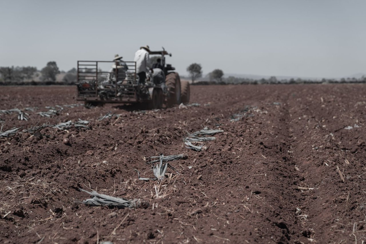 Agricultores trabalham com um trator no preparo de um campo para a próxima temporada de plantio.