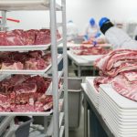 Trabalhadores manuseiam cortes de carne suína em bandejas dentro de uma unidade industrial de processamento.