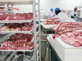 Trabalhadores manuseiam cortes de carne suína em bandejas dentro de uma unidade industrial de processamento.