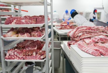 Trabalhadores manuseiam cortes de carne suína em bandejas dentro de uma unidade industrial de processamento.